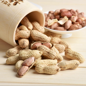 Nueva Temporada, Cacahuetes Crudos <span class=keywords><strong>con</strong></span> Cáscara de Grado 3A, Modelo 2025, 11/13, 9/11 |   Crujiente |   Empaquetado al por Mayor y al Detal - Product Image 4