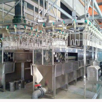 2025 Abattoir automatique complet de poulet Ligne d'abattage de volaille d'abattoir de poulet pour les industries d'abattoir