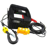 Palans électriques portables 300 kg 110 V avec télécommande, treuil à câble métallique, moteur de traction pour hôtels et restaurants, état neuf