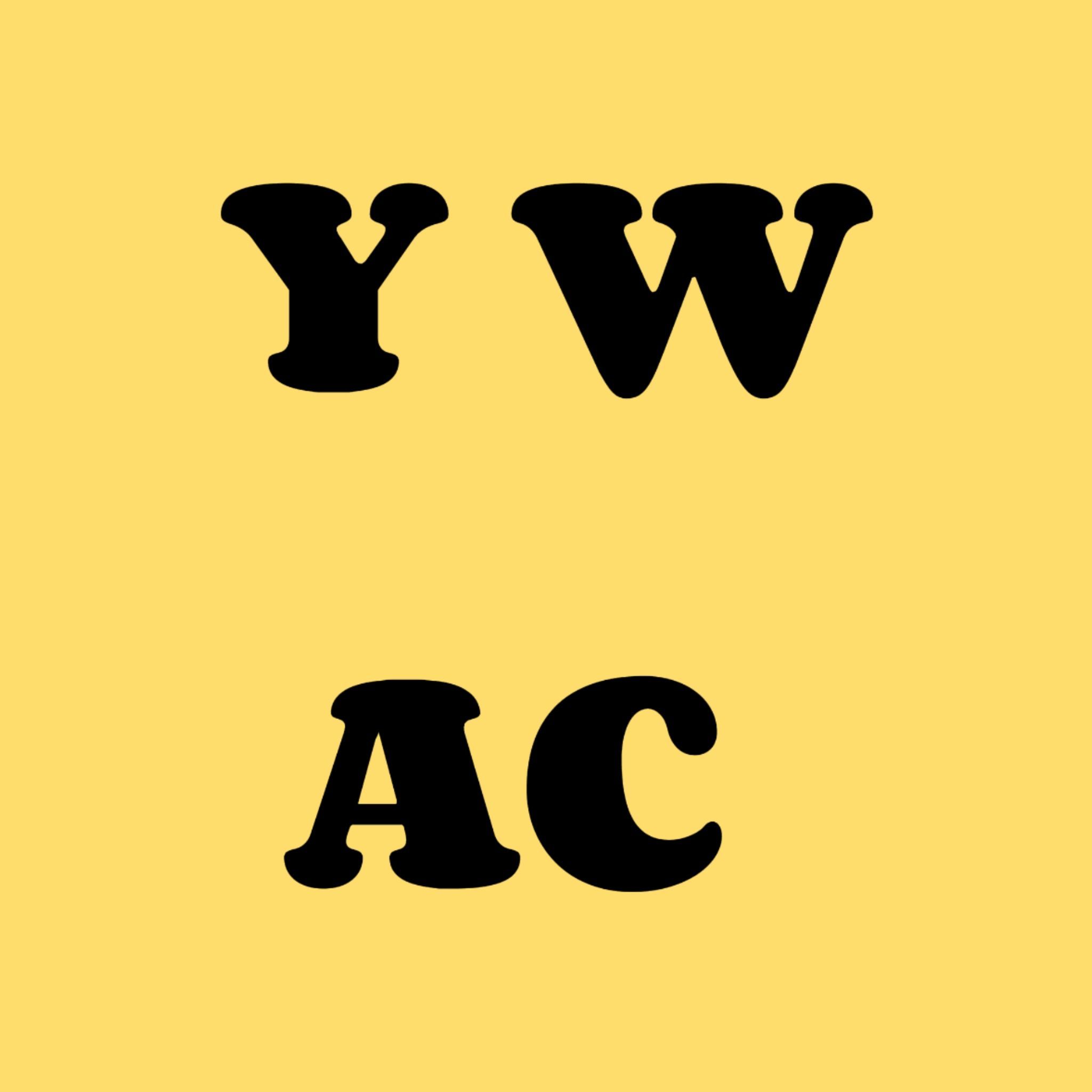 Guangzhou Baiyun District Sanyuanli Yuewang Automobile Air Conditioning Parts Firm logo