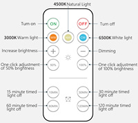 Ampoule LED rechargeable 5W avec télécommande et chargement USB, éclairage d'urgence pour la maison et le camping