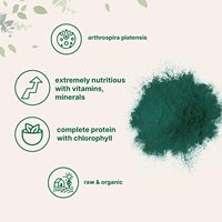 Poudre de Spiruline Prix Usine 907g Vente en Gros Arthrospira Platensis Protéine Végétale Superaliment Vert Smoothie OEM ODM
