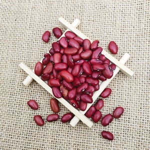 Fagioli rossi secchi all'ingrosso di buona qualità per l'esportazione - Product Image 6