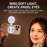 Mini lampe LED magnétique d'extérieur, batterie 400 mAh, pliable, luminosité réglable, trois modes de couleur, multifonctionnelle