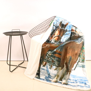 Invierno grueso Sherpa <span class=keywords><strong>cama</strong></span> suave ponderado franela al por mayor Coral cálido Polar personalizado manta de tiro - Product Image 1