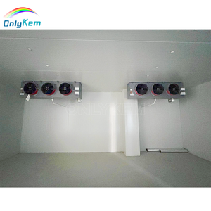 Contenedor móvil de 20 pies, la mejor cámara frigorífica de almacenamiento de energía solar para pescado, carne, verduras <span class=keywords><strong>con</strong></span> certificado NSF - Product Image 2