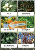 Machine vibrante multi-cultures pour la cueillette des fruits : Dispositif de récolte des olives et secoueur de noisettes pour dattes rouges, myrtilles et cerises