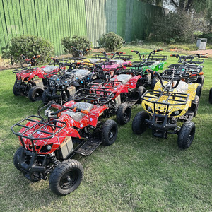 Mini Quad Elettrico per Bambini, Buggy da Spiaggia in Metallo con Motore da 350W per Parchi Divertimento all'Aperto - Product Image 3