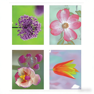 <span class=keywords><strong>Timbres</strong></span>-poste 2026 Trumpets, <span class=keywords><strong>timbres</strong></span>-poste US Forever, 5 feuilles de 100 pièces, <span class=keywords><strong>prix</strong></span> bas, <span class=keywords><strong>timbres</strong></span>-poste USA et mondiaux, stock local - Product Image 4
