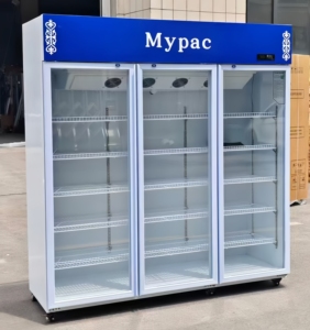 Exhibidor de Bebidas Comercial de 200L con Descongelación Manual, 2 Puertas, Enfriamiento por Ventilador, Enfriador de <span class=keywords><strong>Cerveza</strong></span> y Bebidas - Product Image 6