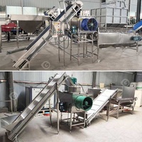 Machine commerciale à éplucher l'ail et les gousses d'oignon, ligne de traitement et de séchage, pour le marché indien