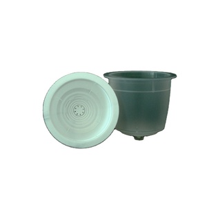 <span class=keywords><strong>Capsule</strong></span> de café jetable biodégradable et compostable personnalisée pour machine à café <span class=keywords><strong>Dolce</strong></span> <span class=keywords><strong>Gusto</strong></span> - Product Image 2
