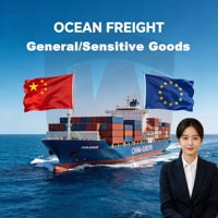 Services logistiques internationaux UE, bon prix, livraison à domicile, DDP, DDU, expédition FBA, commerce