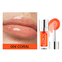 Brillant à lèvres hydratant Huile aromatisante pour les lèvres Fruit Tint Glow Private Label Lip Oil