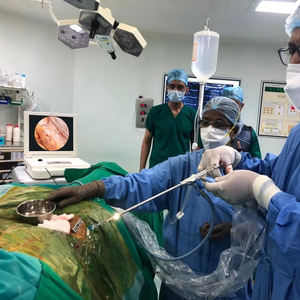 17 इंच एचडी पोर्टेबल मेडिकल एंडोस्कोप के लिए 17 इंच एचडी पोर्टेबल मेडिकल एंडोस्कोप कैमरा सिस्टम - Product Image 1