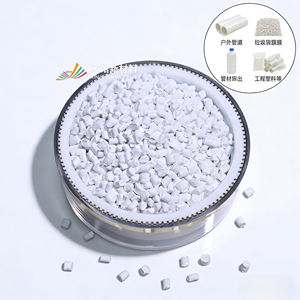 Masterbatch blanc écologique à base <span class=keywords><strong>de</strong></span> carbonate <span class=keywords><strong>de</strong></span> calcium pour <span class=keywords><strong>la</strong></span> <span class=keywords><strong>réduction</strong></span> des coûts dans l'industrie plastique - Product Image 1
