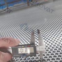 Tôle perforée en acier inoxydable 316L, épaisseur 1 mm à 6 mm, plaque métallique perforée résistante à la corrosion