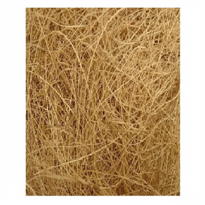 Fibre de noix de coco crue/fibre de coco de noix de coco/fibre de coco de fibre de coco fabriquée au Vietnam avec la qualité et le prix le moins cher - Product Image 1