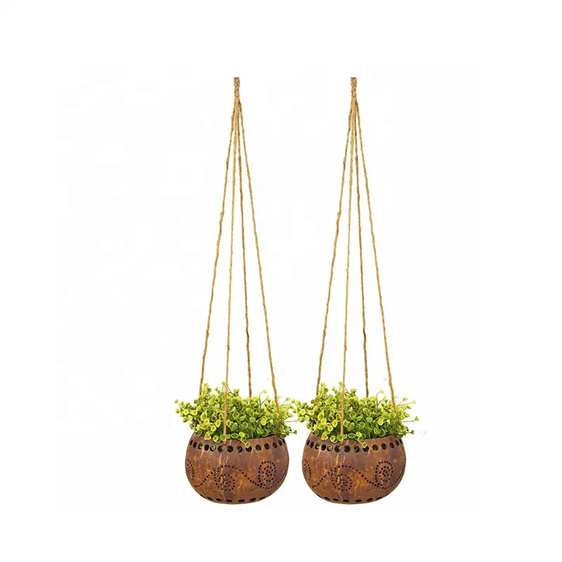 Coconut Shell Hanging Pots for Plants small plants Indoor-outdoor 