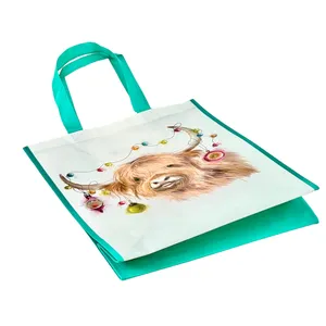 Bookworm Pack Plastic Thick Canvas Handbag Tote Bag For Picnic