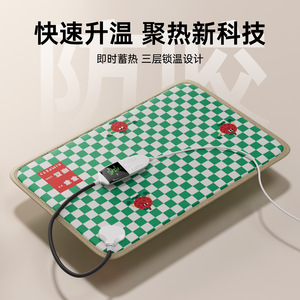Manta eléctrica para mascotas, almohadilla térmica con temporizador de temperatura constante para invierno, uso doméstico, manta con control de temperatura para perros, manta de invierno para gatos - Product Image 5