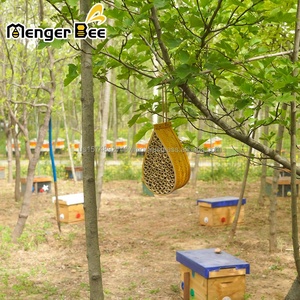 Nueva Caja de Abejas de Bambú sin Púas para Apicultura, 14.5x10x26cm, 1 Año de Garantía - Product Image 3