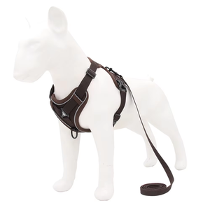 Hot <span class=keywords><strong>Sale</strong></span> New ajustável e resistente ao desgaste ao ar livre andando segurança Pet cão e gato arnês - Product Image 4