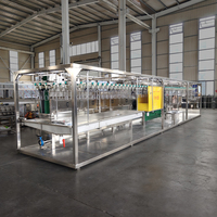 Machine d'abattage automatique de volailles, ligne de traitement de la volaille, 8000 oiseaux par heure, équipement en acier inoxydable