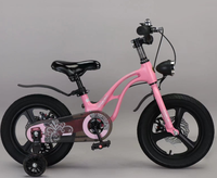 Vélo pour enfants à prix abordable de notre usine OEM en Chine / Vélo pour jeunes enfants pour garçons et filles, idéal pour les sports de plein air