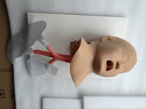Mô hình đào tạo y tế ADA-J4A cho học sinh học đường thở của con người CPR manikin trẻ em đặt nội khí quản mô hình cho các trường học - Product Image 4