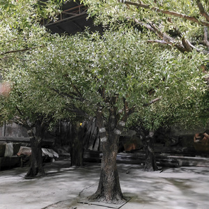 Décor d'intérieur de restaurant à <span class=keywords><strong>prix</strong></span> d'usine 4m de grands arbres ornementaux artificiels <span class=keywords><strong>olivier</strong></span> artificiel - Product Image 1