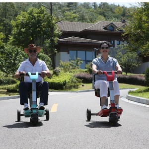 Mini-tricycle électrique pliable pour adultes, personnes âgées et handicapés, adapté aux voyages en avion - Product Image 6