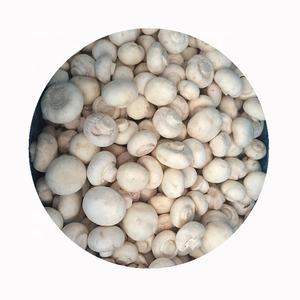 פטריית שמניון לבן גידלו פטריות טרי ובריא מעובד למחירי השוק בסגנון שמפיניון שלם - Product Image 4