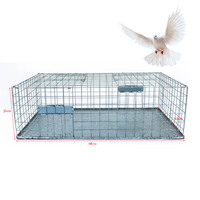 Cage anti-évasion en métal massif pour pigeons – Écologique, sûre et efficace – Conception de poulailler pour le contrôle des nuisibles (poulets, oiseaux, pigeons)