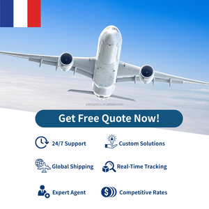 Servicios de Transporte Aéreo Internacional Puerta a Puerta de China a Todo el Mundo por el Transitario Top10, Soporte 24/7, Tarifas Económicas - Product Image 2