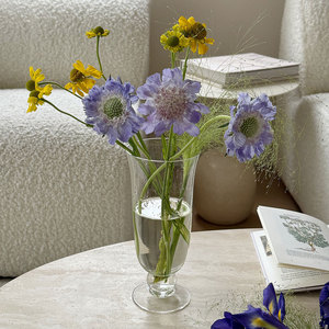 Vases en verre <span class=keywords><strong>transparent</strong></span> en gros, vases à <span class=keywords><strong>fleurs</strong></span> hydroponiques modernes et minimalistes, décoration pour la maison et l'hôtel - Product Image 6