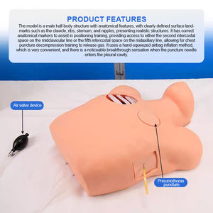 نموذج طبي واقعي لعلاج تضخم الرئة الهوائية في المستشفيات والعيادات والكليات، محاكاة للعلوم الطبية، شنغهاي BIX-LQ7 تشينون - Product Image 3