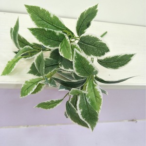 Plantes vertes artificielles Queyiyi, feuilles à bordure blanche de 30 cm à 100 cm, décoration intérieure, accessoires de photographie - Product Image 3