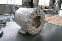 Bobine d'acier électrogalvanisé à prix direct usine, laminée à chaud et à froid PPGI/HDG/GI/SECC DX51 pour voitures et avions