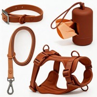 Harnais et laisse pour chien OEM Sport, ensemble de 4 pièces avec collier, distributeur de sacs à excréments, réglable, lavable, écologique, en caoutchouc et nylon, multicolores