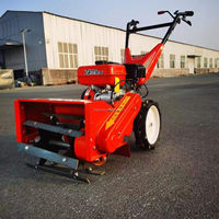 Machinerie agricole, une seule machine, tondeuse à gazon diesel et motoculteur, multi-usages, verger, ferme, jardin, désherbage, creusement de fossés, cultures