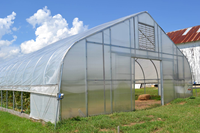Structure de cadre métallique de serre de tunnel de film plastique à portée unique commerciale à faible coût pour les plantes agricoles
