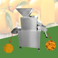 Presse-agrumes commercial à double rouleau pour grenades, agrumes, oranges et citrons, machine à jus de fruits automatique