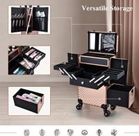 Valise à roulettes professionnelle pour maquilleur, valise à cosmétiques multifonctionnelle, grande valise de rangement à roulettes