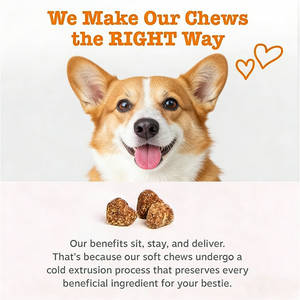 مكملات فيتامينات للكلاب مع الجلوكوزامين والكوندرويتين والإنزيمات الهاضمة والبروبيوتيك لدعم صحة المفاصل والجلد والفراء - Product Image 3