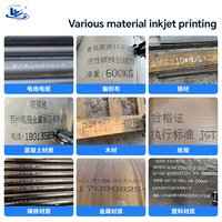 Impresora Portátil de Etiquetas y Tubos, Ajustable, de Metal, con Material Flexible, Impresora de Inyección de Tinta de Caracteres Grandes