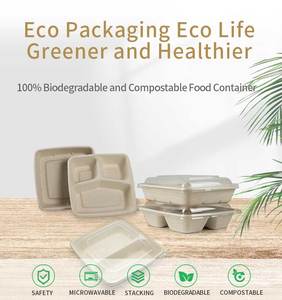 Emballage alimentaire biodégradable écologique durable de 8 pouces carrés avec couvercle, marque Harvest, série CS - Product Image 6