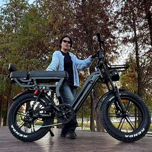 Vélo électrique tout-terrain NL Warehouse X70 pour femme, Fatbike, E-bike à suspension intégrale, 20 pouces, style rétro, VTT électrique pas cher - Product Image 1