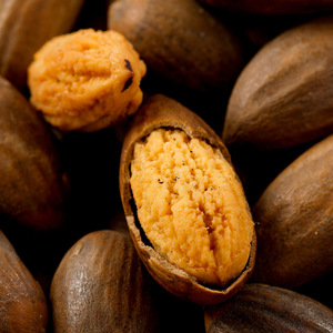 Torreya Grandis Nuovo Sacchetto da 500g di Sale Commestibile Salato, Frutta Secca Allungata da Alberi Anziani del Fujian, Snack per il Tempo Libero all'Ingrosso - Product Image 4