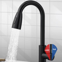 Robinet de cuisine professionnel en acier inoxydable brossé, monocommande avec douchette extractible pour évier de cuisine